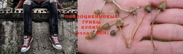ГАЛЛЮЦИНОГЕННЫЕ ГРИБЫ Вязьма