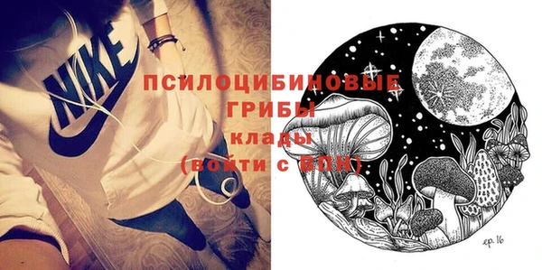 ГАЛЛЮЦИНОГЕННЫЕ ГРИБЫ Вязьма