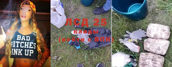 ГАЛЛЮЦИНОГЕННЫЕ ГРИБЫ Вязьма