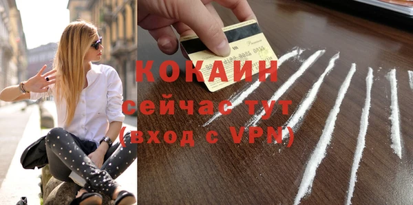 ГАЛЛЮЦИНОГЕННЫЕ ГРИБЫ Вязьма