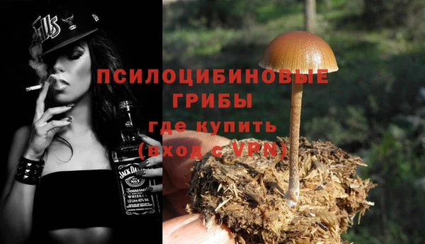 ГАЛЛЮЦИНОГЕННЫЕ ГРИБЫ Вязьма